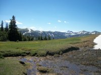 Yellowstone July 2012 436.JPG