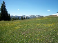 Yellowstone July 2012 438.JPG