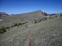 Yellowstone July 2012 449.JPG