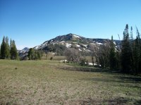 Yellowstone July 2012 567.JPG