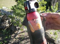 Yellowstone July 2012 569.JPG