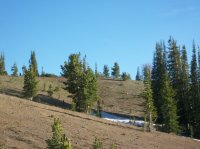 Yellowstone July 2012 575.JPG