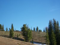 Yellowstone July 2012 576.JPG