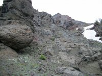 Yellowstone July 2012 598.JPG