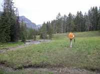 Yellowstone July 2012 601.JPG