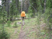 Yellowstone July 2012 602.JPG