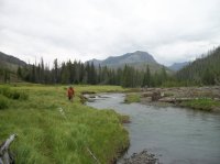 Yellowstone July 2012 608.JPG