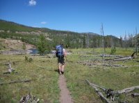 Yellowstone July 2012 619.JPG