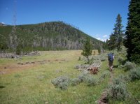 Yellowstone July 2012 628.JPG
