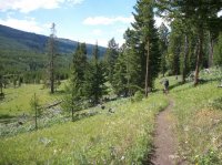 Yellowstone July 2012 637.JPG