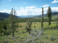 Yellowstone July 2012 640.JPG