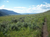 Yellowstone July 2012 643.JPG