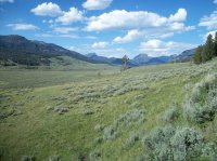 Yellowstone July 2012 646.JPG