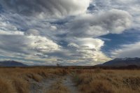 The Owens Valley Laura Zirino.jpg