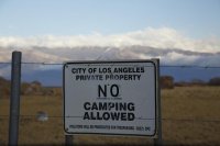 LA Bastards Laura Zirino.jpg