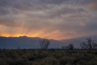 Ordinary Sunrise Laura Zirino.jpg