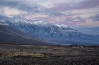 Soft Sunrise Larger Laura Zirino.jpg