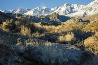 Owens Layers 2 Laura Zirino.jpg