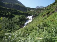 Glacier July 2012 231.JPG