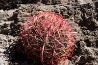 Anniversary Narrows-49.jpg