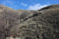 15920679444_7faebbc935_k.jpg 15920679444_7faebbc935_k.jpg