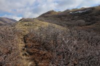 16542153022_c255a628cc_k.jpg 16542153022_c255a628cc_k.jpg