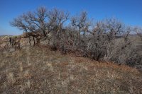 15920656714_33bac77105_k.jpg 15920656714_33bac77105_k.jpg