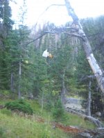 DSCN3851.JPG DSCN3851.JPG