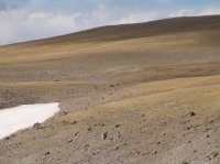 Absaroka Grizzlies on Austin 1.jpg Absaroka Grizzlies on Austin 1.jpg