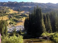 Upper Lostine River 2.JPG