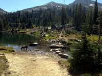 Moccasin Lake trail xing.JPG