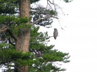 Monument + Electric Peak 018.JPG