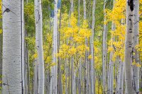 Utah Colorado-26.jpg