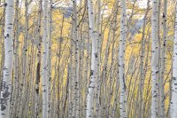 Utah Colorado-27.jpg