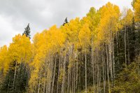 Utah Colorado-30.jpg