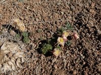 DSCF9226.JPG DSCF9226.JPG