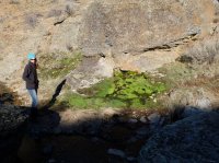 DSCF9314.JPG DSCF9314.JPG