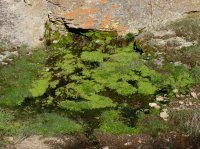 DSCF9315.JPG DSCF9315.JPG