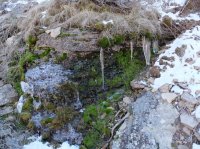 DSCF9317.JPG DSCF9317.JPG