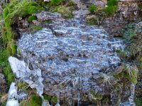 DSCF9321.JPG DSCF9321.JPG