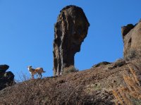 DSCF9334.JPG DSCF9334.JPG