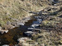 DSCF9392.JPG DSCF9392.JPG