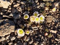 DSCF9462.JPG DSCF9462.JPG