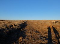 DSCF9470.JPG DSCF9470.JPG