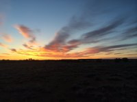 2014-03-31 07.06.57.jpg