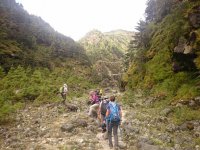 DSC_0707.JPG DSC_0707.JPG