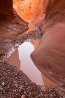 trachyte-creek-2015-7.jpg trachyte-creek-2015-7.jpg