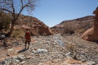 trachyte-creek-2015-18.jpg trachyte-creek-2015-18.jpg