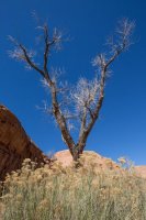 trachyte-creek-2015-22.jpg trachyte-creek-2015-22.jpg