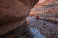 trachyte-creek-2015-26.jpg trachyte-creek-2015-26.jpg